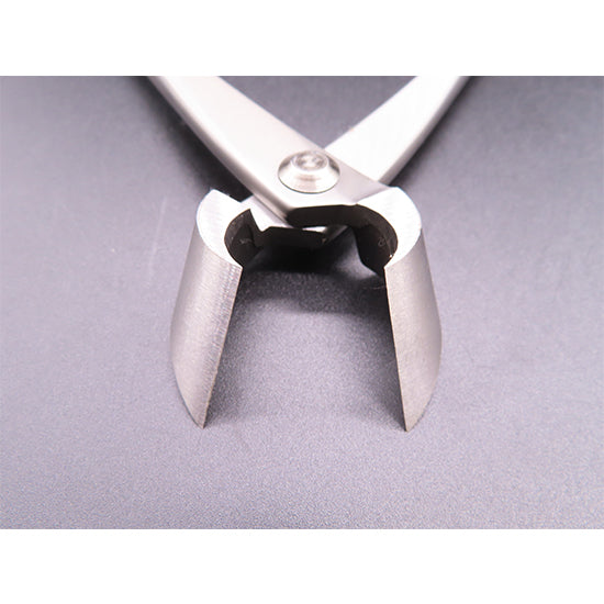 Stainless steel branch cutter L