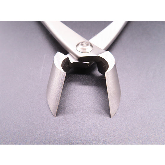 Stainless steel branch cutter L – TANABE JAPAN