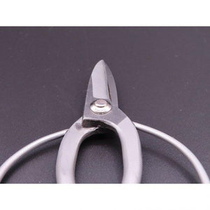 Stainless steel gardening scissors