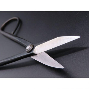 Butterfly straight handle scissors